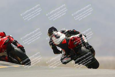 media/Apr-10-2022-SoCal Trackdays (Sun) [[f104b12566]]/Turn 9 Backside (1120am)/